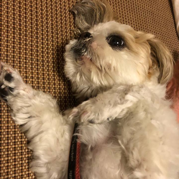 C4876d71 1fc9 4f86 90fb 831f75204ee1 1625003362802