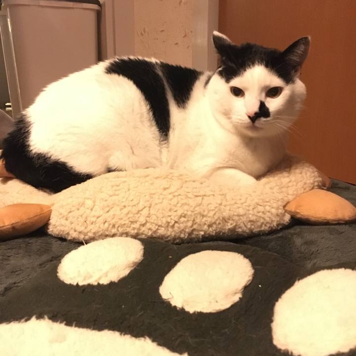 C4879301 358a 40d8 b530 82ae677d4de2 1513789539918