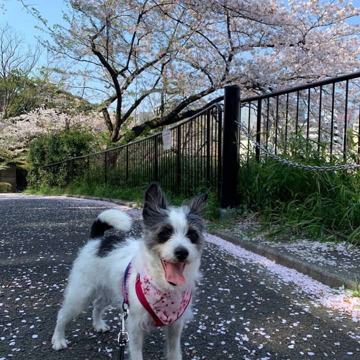 C487b070 6e5f 4e64 9944 45e64d846c11 1585991846875