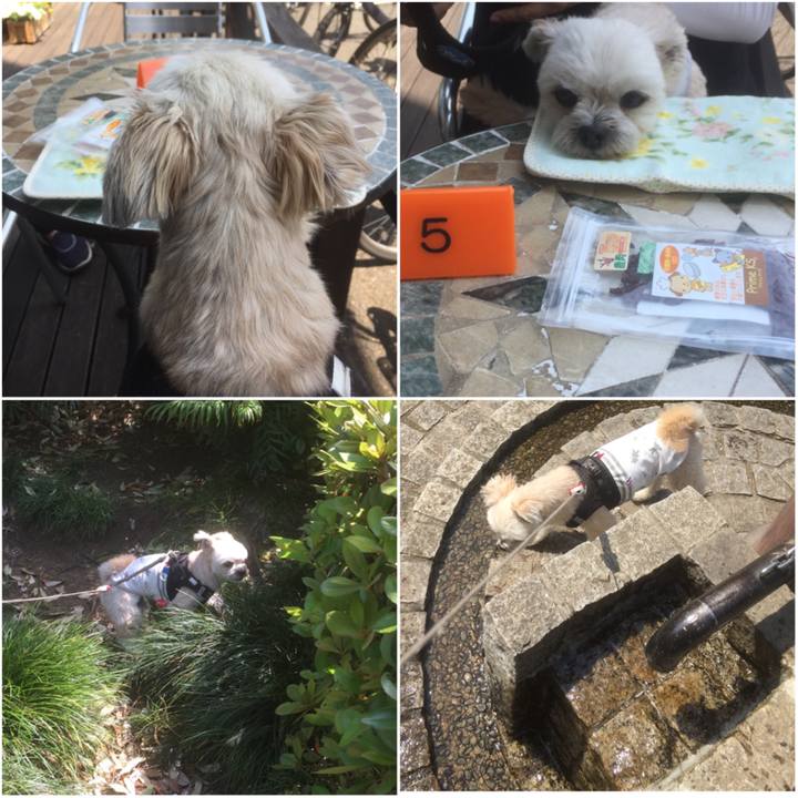 C487bb94 3760 4940 83a9 7ab22ad6406d 1557639993482