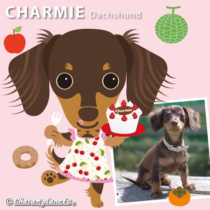 C487cd9e 5c58 4226 be33 01f9407cf139 1560335870837