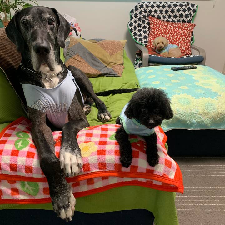 C487df3f fdfa 4479 ab94 f03baac80f2d 1591224064418