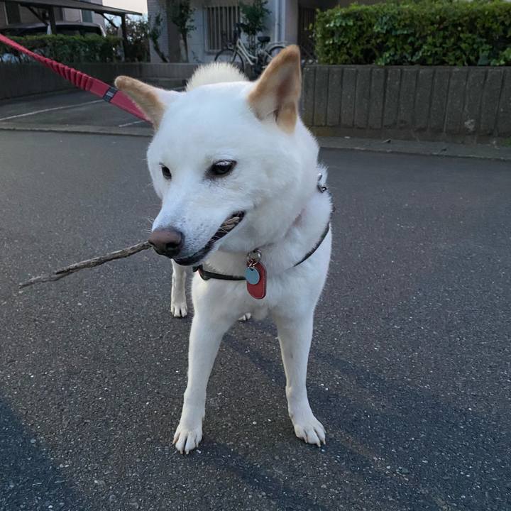 C487f41a 46f6 4b96 a311 c4ac99740950 1636532659234