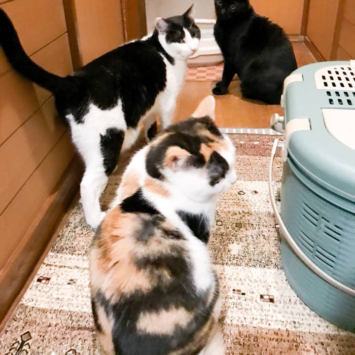 C4880064 73f6 4a39 ad35 399576607cee 1518482784868