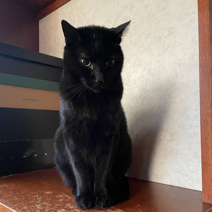 C4882761 cf40 40e5 b1fe b745c4129404 1611623529043