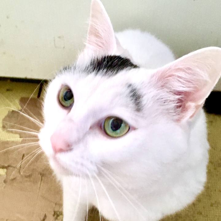 C48855c7 1f62 4e13 8580 59447b2b4209 1561177191975