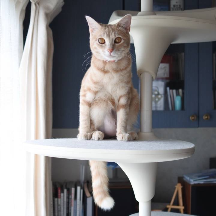 C488564f c36d 4671 87ba 4d1c6361804b 1556100106186