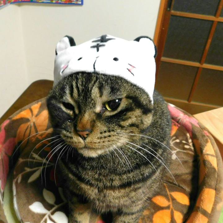 C488adcd 1cfd 4613 99d1 e8c5ba651a7b 1523003316561