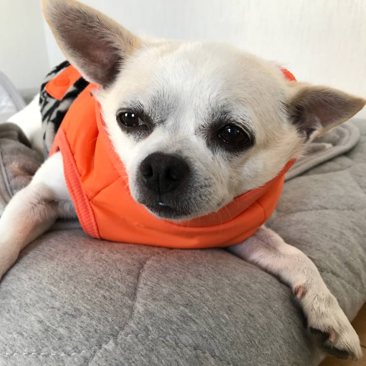 C488c189 8b85 46d5 9eec e3f3b9c273c7 1573041779110