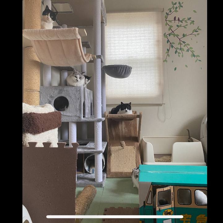 C488c6aa d0cc 4c1a 90ba 26959f2c8246 1611800377978