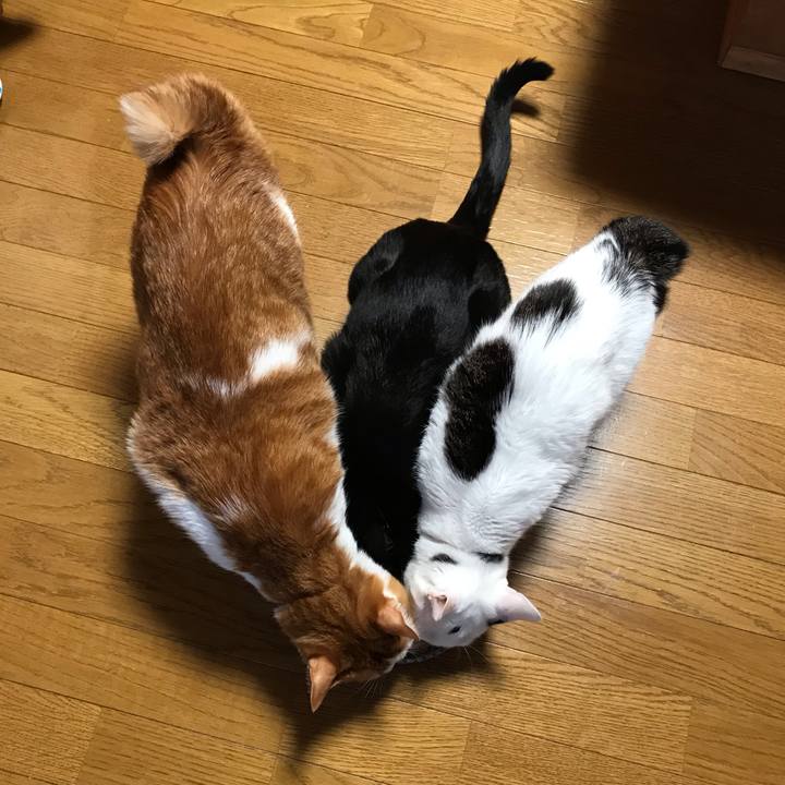 C488e13e 452b 4385 8943 a0bddd40f56a 1573161702068