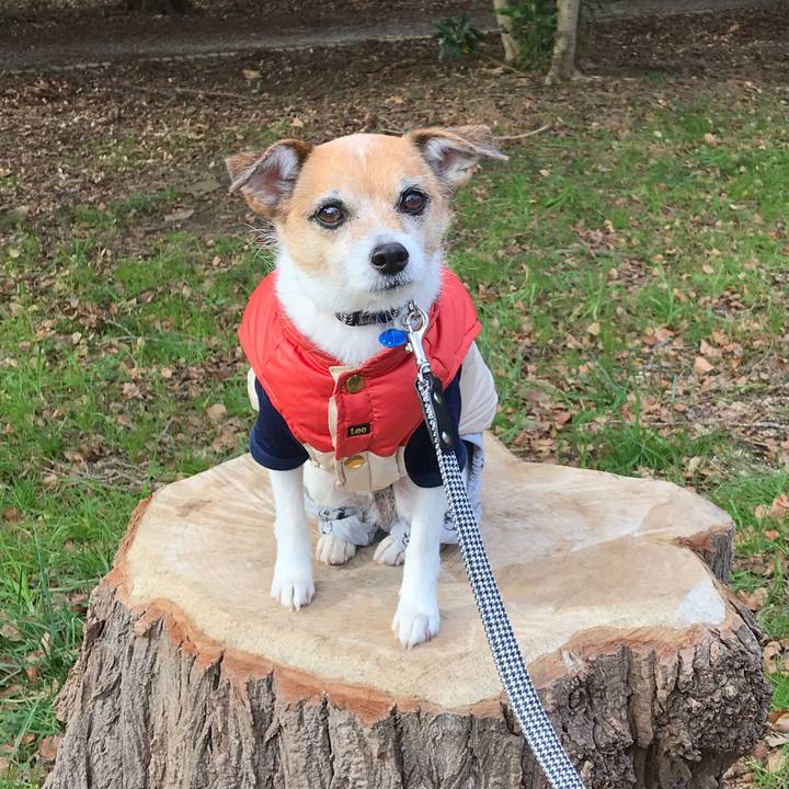 C488f25e 6b34 4287 a073 999bab32e8b6 1578109015787