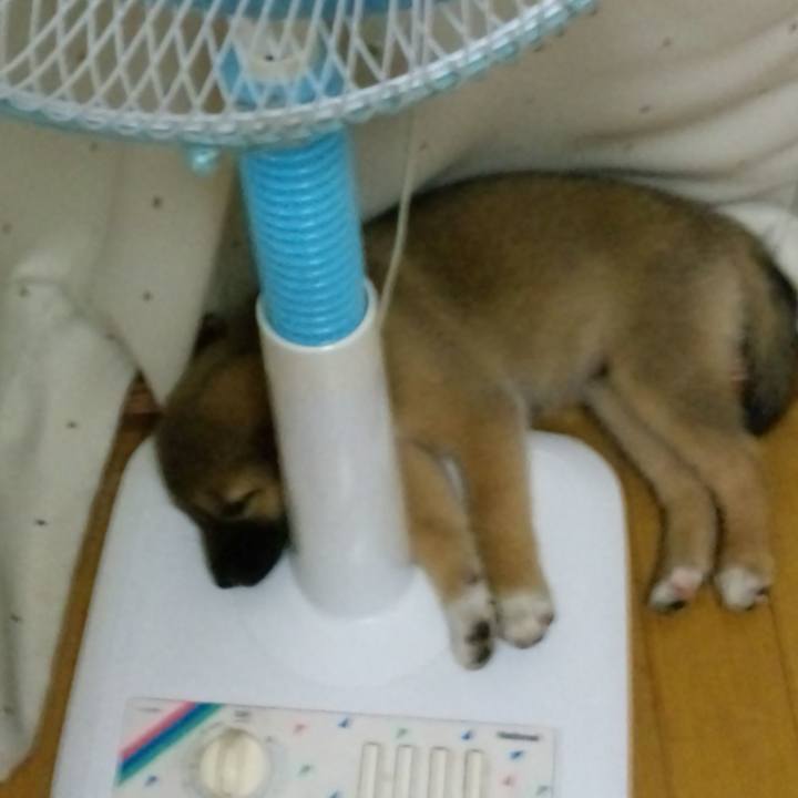 C4895613 34cc 4ef7 bf7a eca62152f874 1544692224953