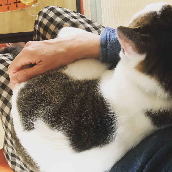 C489670f 12e4 4725 a0c2 f81d1897b586 1555996694605