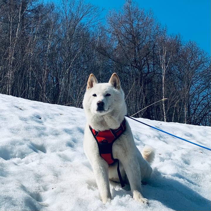 C48969a9 0158 4d7b 827a b9d11607704b 1680215392865