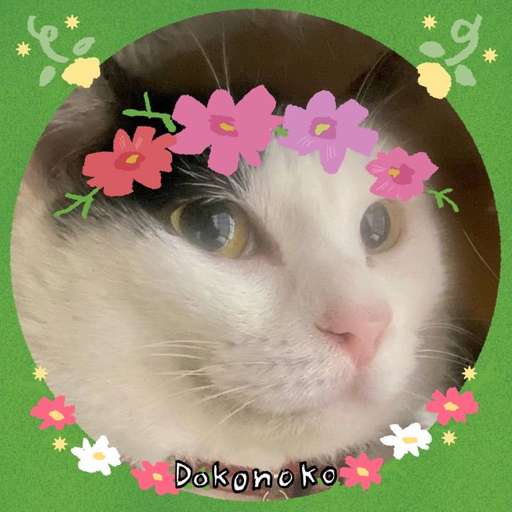 C4896f61 56e1 483c 97fb e5ef3131d272 1726843519226