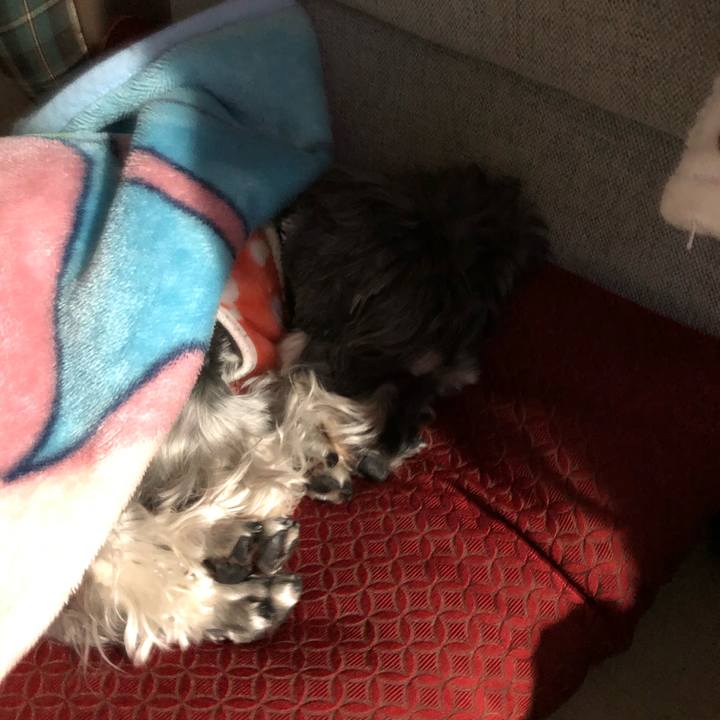 C489bafc cf0e 4d3f 9bbb c1ddcee48522 1648823946406