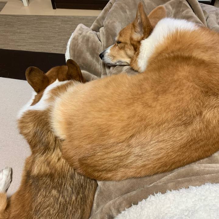 C489c06c 27bc 4664 8b32 de667d6e780d 1605395017259