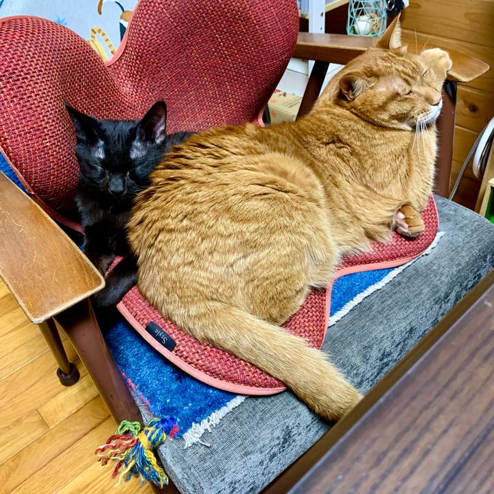 C489e0ba 3214 4797 9c17 a283f8a0a5ab 1647007573425