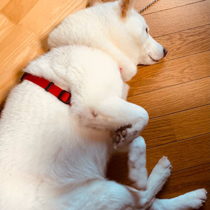 C489e915 30fb 498e 87ea 77f46ea0a3ae 1605244234125