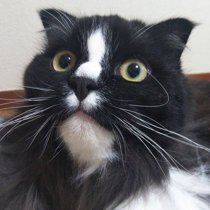 C48aaa68 ae47 43c3 a864 b0a76e44b4c3 1657677923762