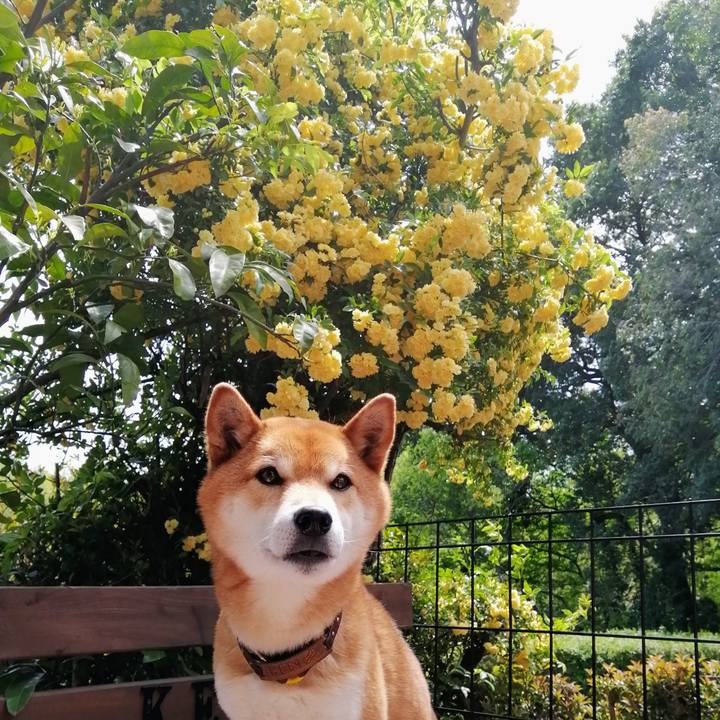 C48ade17 f6ab 45b9 9815 1fc22b6d12c1 1618713438517