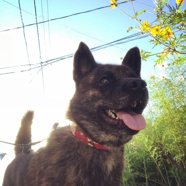 C48af46f 2bb8 4d7e 94ef 23803478fbaa 1537310359070