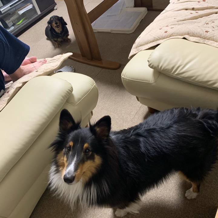 C48afc36 cced 4834 a6c8 286366d1b00c 1574977021864