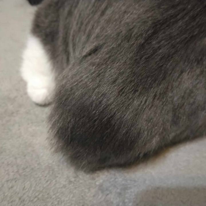 C48b033b cfe0 45e7 b755 fb39329d63c5 1710767656860