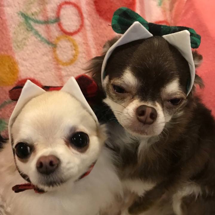 C48b285c b829 43a7 87c1 7776be022f78 1511362808125