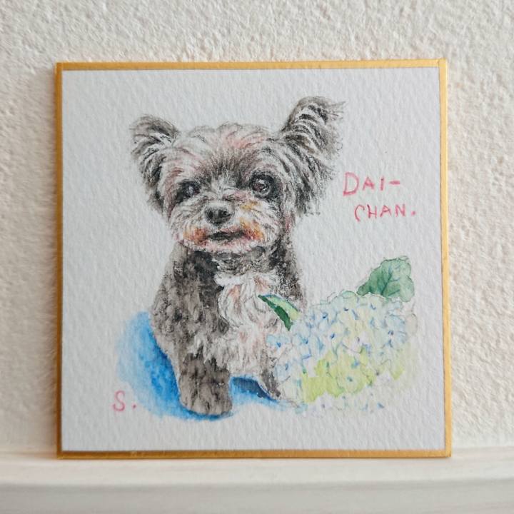 C48b35ab 09ce 4ec8 87e3 f28a209e0142 1584402741256