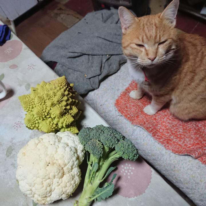 C48b4a9e ec83 4761 98ce 724b40f8c2a7 1575785144980