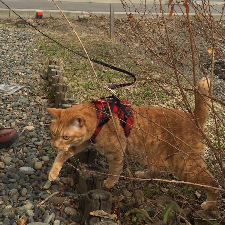 C48bad98 9d64 4dfe bd04 943d618162e0 1523149264901