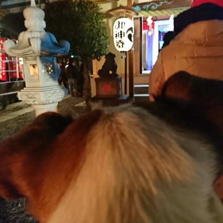 C48bb7d0 bd74 459c a5ca 154d6bd0a9c7 1546274280341