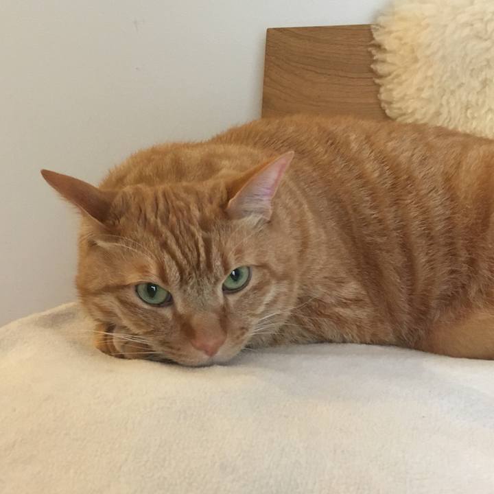 C48bc800 0d16 493b 9401 19d94749e840 1618668870541