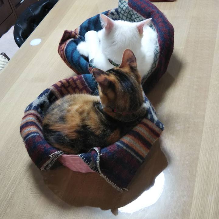 C48bdb3e 2b59 46e2 a187 a94f8bc6da1e 1638845966834