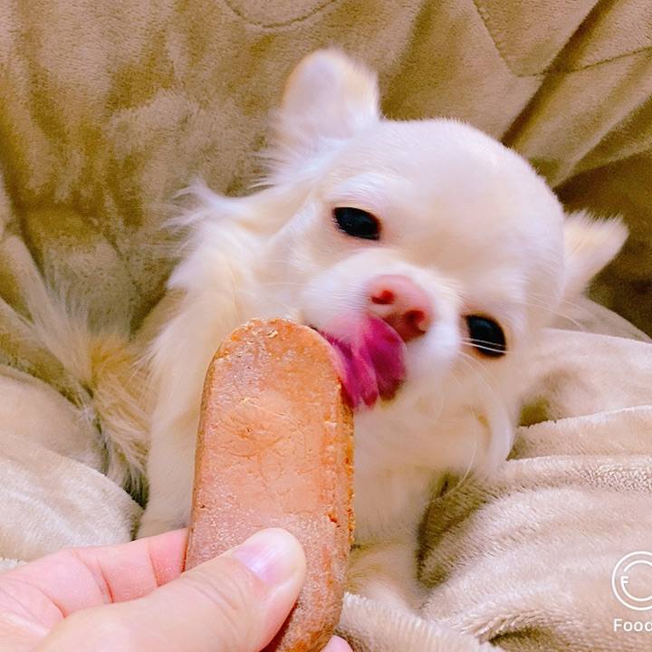 C48bf6c2 1268 47ea baea e232ab9a01f5 1608970612920