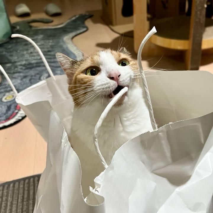 C48c1095 b969 4111 8c7d 561c0563804c 1758081349157