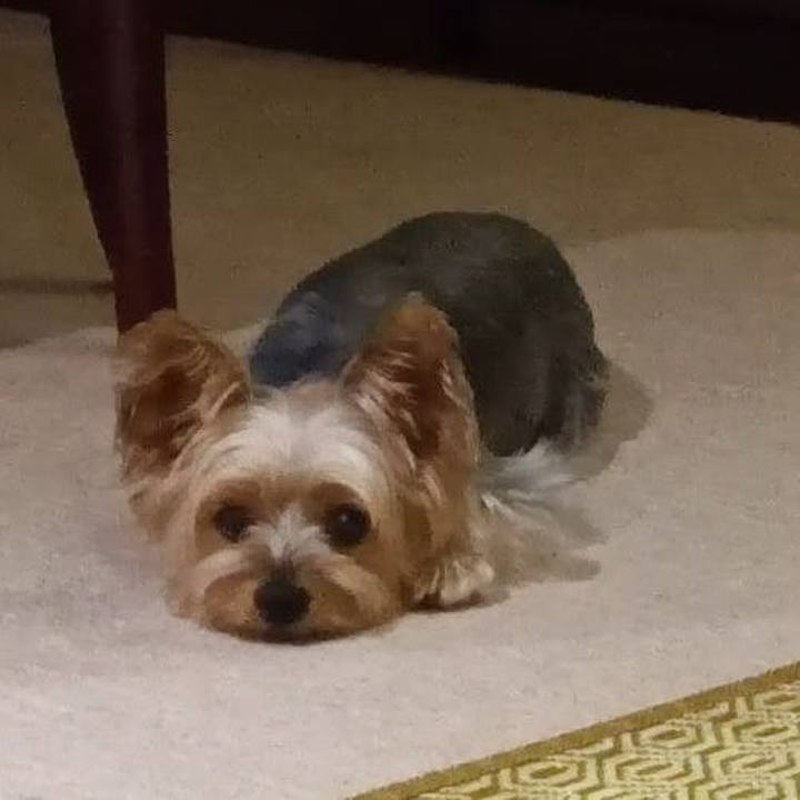 C48c176e 48f0 45f6 9bf0 d6209c2d696b 1721525655750