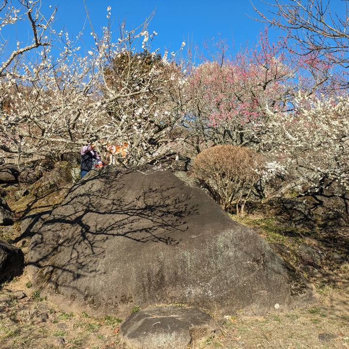 C48c23c1 fb11 404c 83e0 7ac4b6f02524 1707838704549