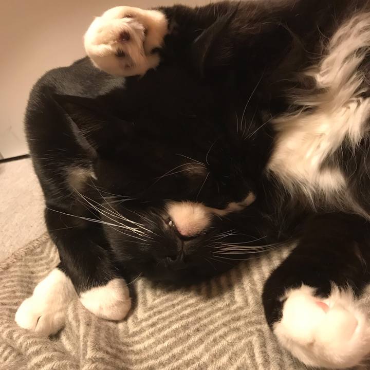 C48c580a 1608 4280 8a25 5ce6d51760eb 1550840910832