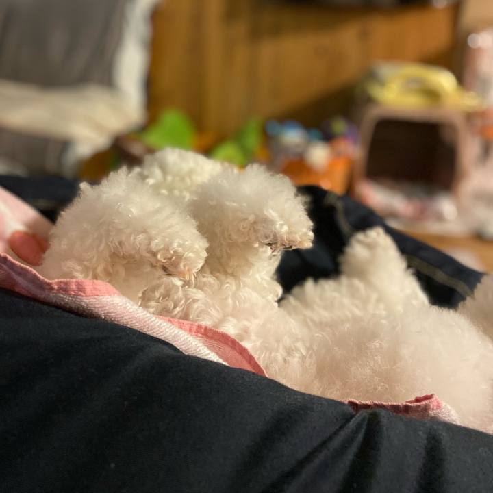 C48c7912 771d 45e1 9127 632c45603df9 1615209699537