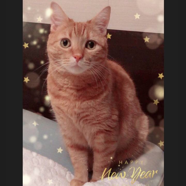 C48c87ee 13e9 4a2f b3b9 d76663c547fc 1577973164100