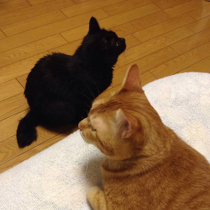 C48ce451 1753 4c1f 91f6 efd9a5770905 1568723376978