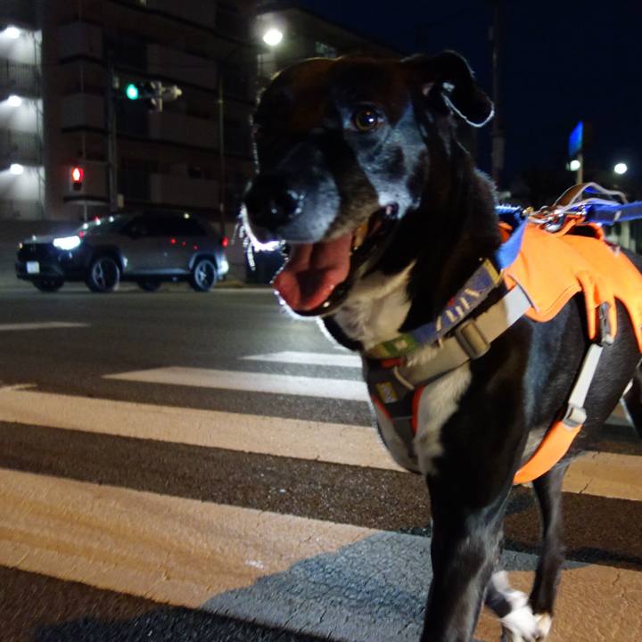 C48cfac1 7860 4adf 8a69 4f43e404a0df 1712402620595