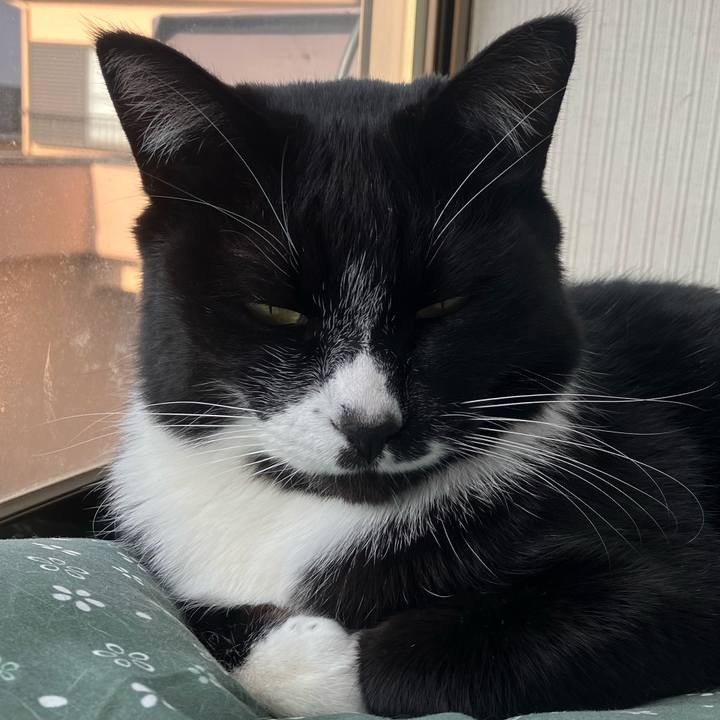 C48d15f6 b662 44ea 99c2 c7f2d5d0ff66 1709869950231