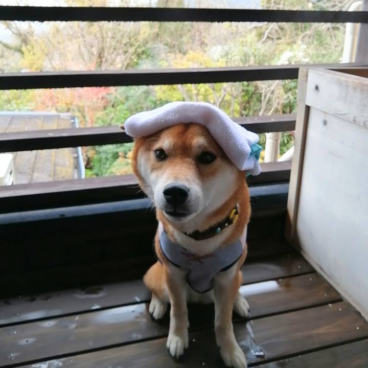 C48d1d83 a2fa 4204 98ed 0b0d593bcd13 1617004882488