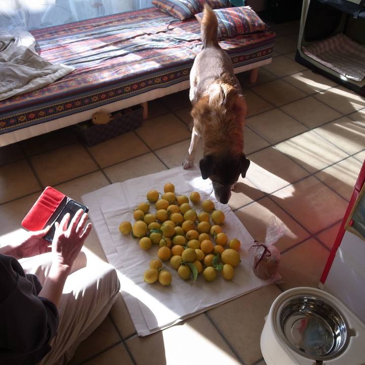 C48d2535 45f2 4f7e a2b6 24f4a4d23634 1594031173206