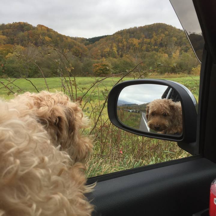 C48d3dba dc5c 4fc4 a540 80dca8a556cf 1508580835069