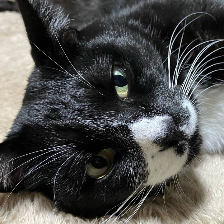 C48d3edd 082c 42cf bbf2 5f78bc0011cf 1733543879540